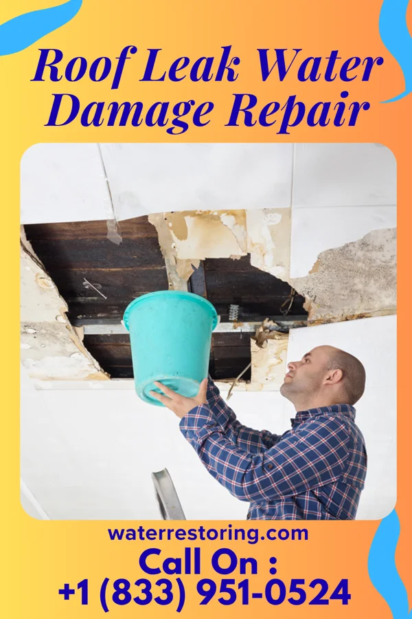Roof Leak Water Damage Repair in Amherst, TX